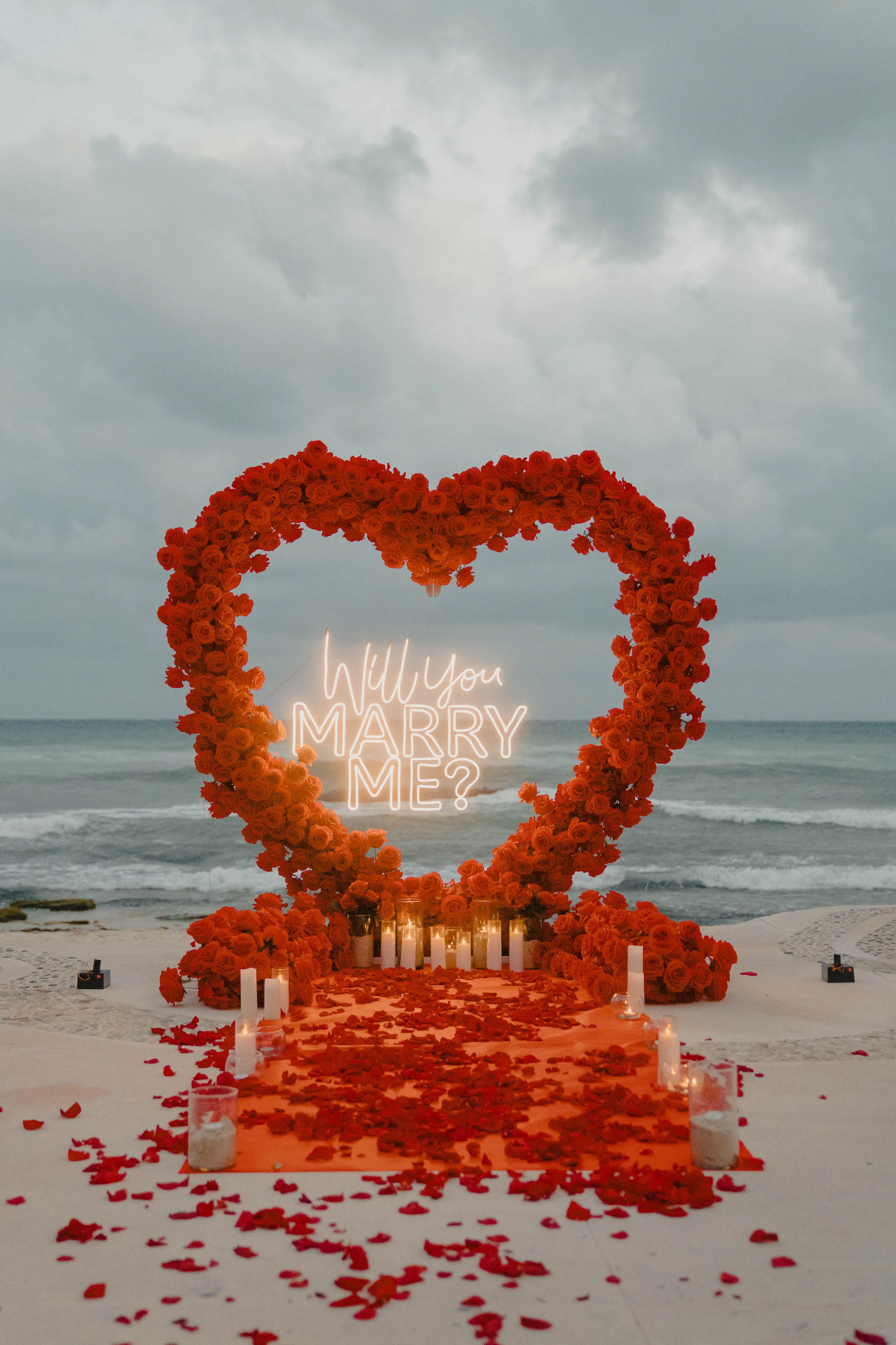 Heart arch proposal setup